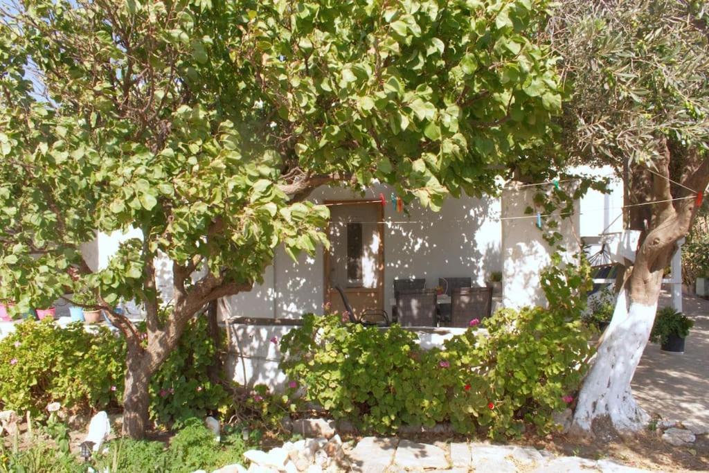 Anastasia'S House Ysterni Isterni  Ngoại thất bức ảnh